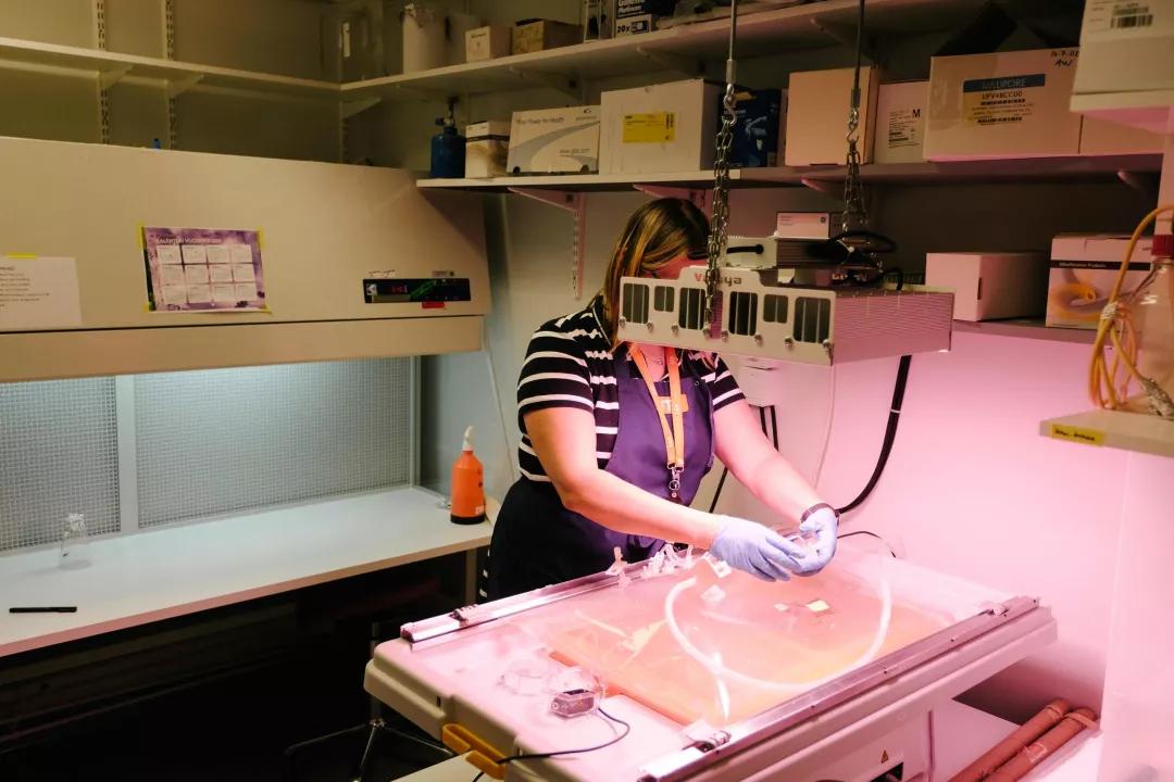 灏忔潕瀛愯幈鏄傜撼澶氬拰濂崇敓浜插惢,灏忔潕瀛愯幈鏄傜撼澶氬拰涓栫晫棣栧瘜