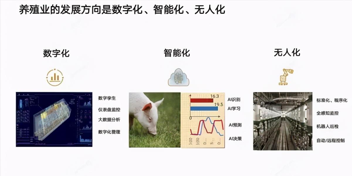 华为“养猪”初见成效,“杂货铺”的帽子坐实?其中可能存在误解