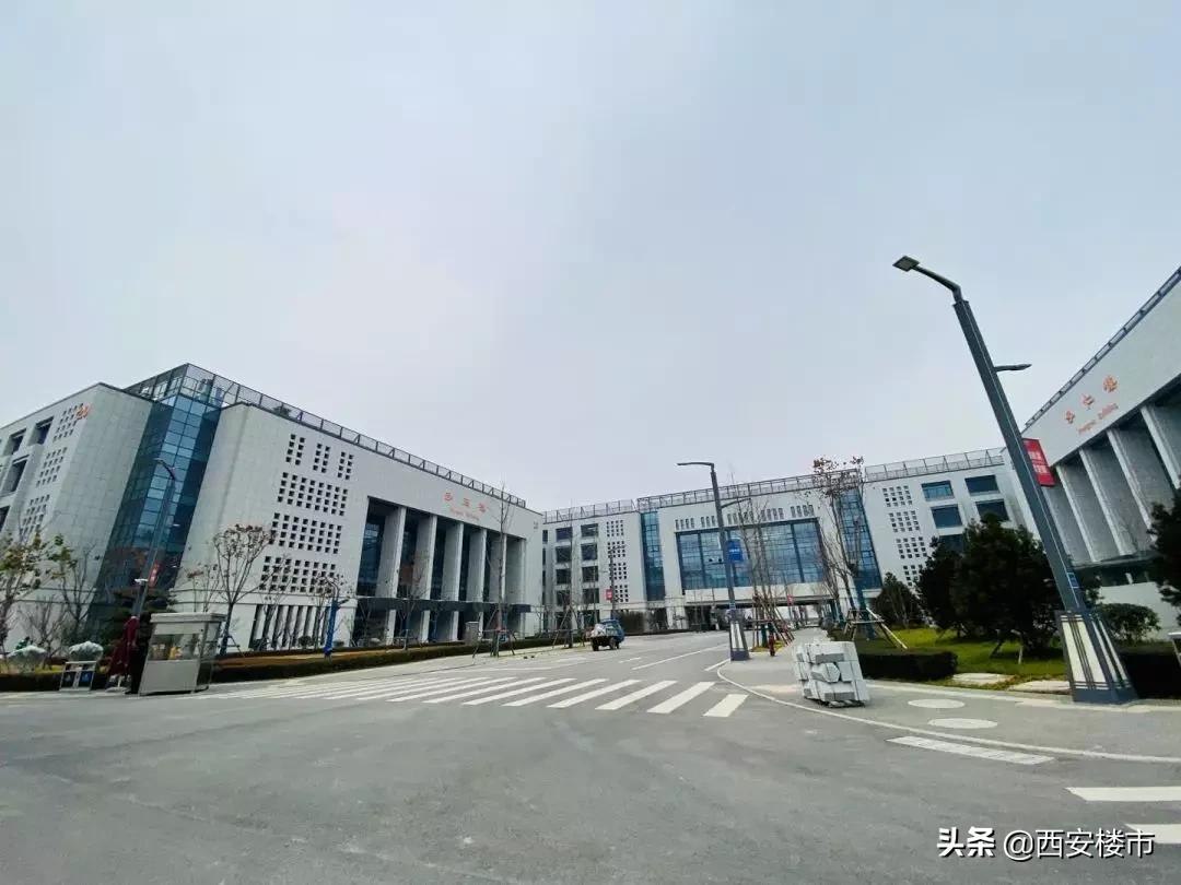 创新港现场考察,创新港真实照片