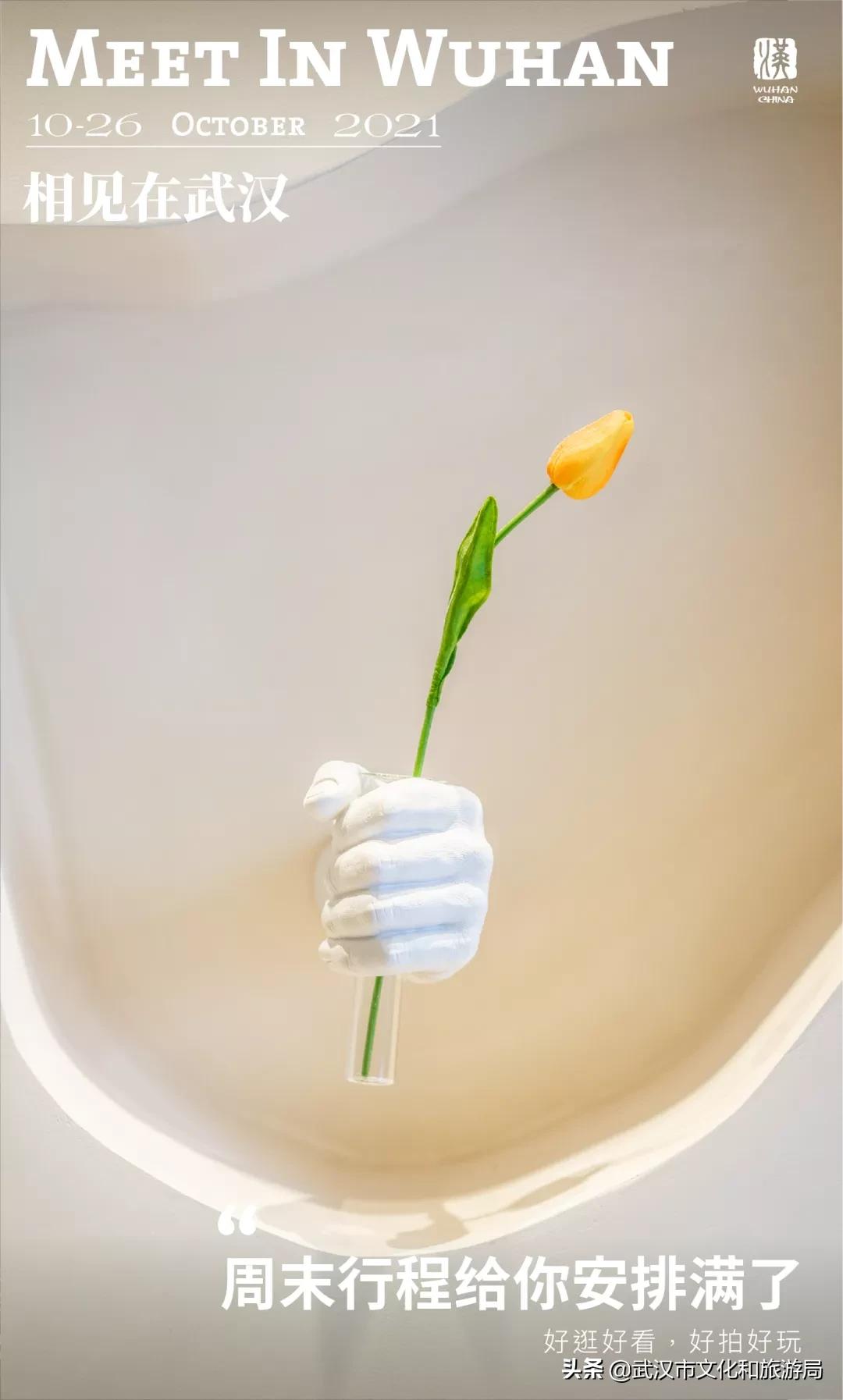 武汉12月秋季枫叶和银杏叶美景,枫叶银杏的美景最新