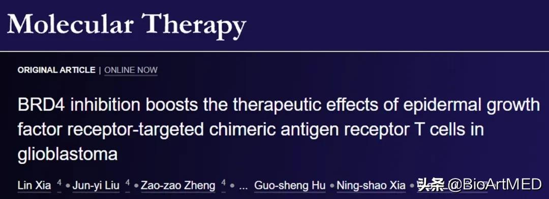 脑胶质瘤免疫疗法新突破,脑胶质瘤免疫治疗的效果如何