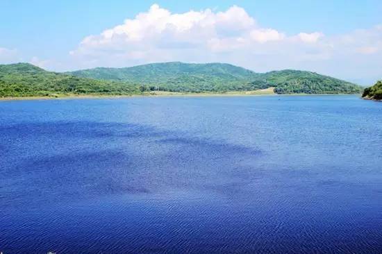 有人问你：哈尔滨哪个区（市）县最大哪个最小？都有啥？你知道不