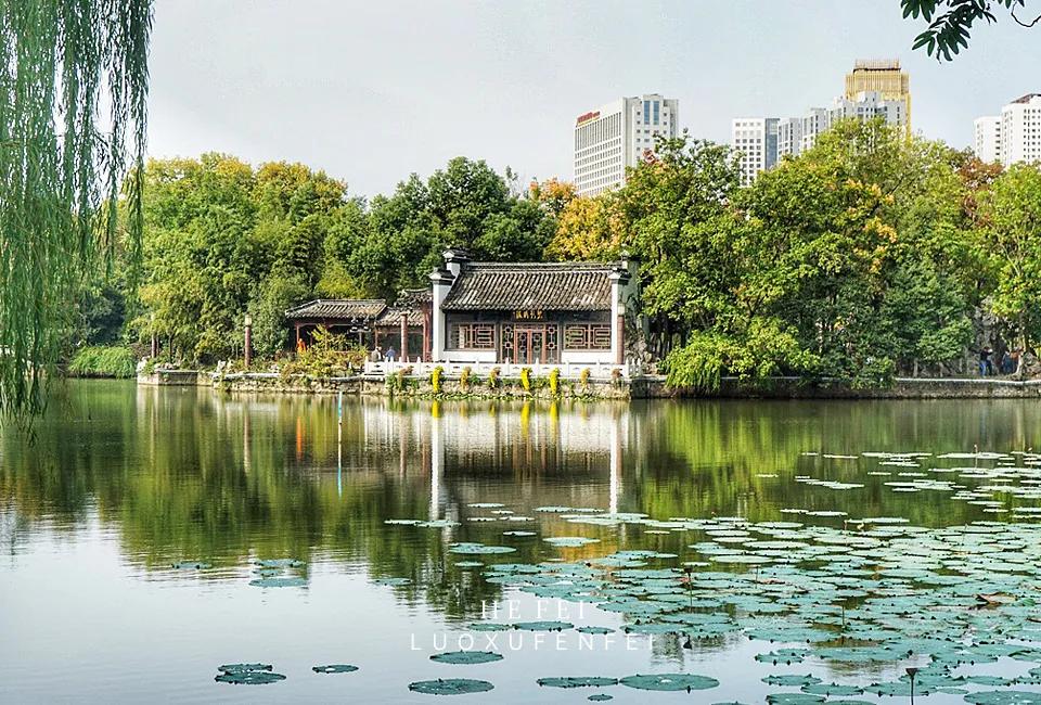 科学家摇篮哈工大,中科大科学家的摇篮