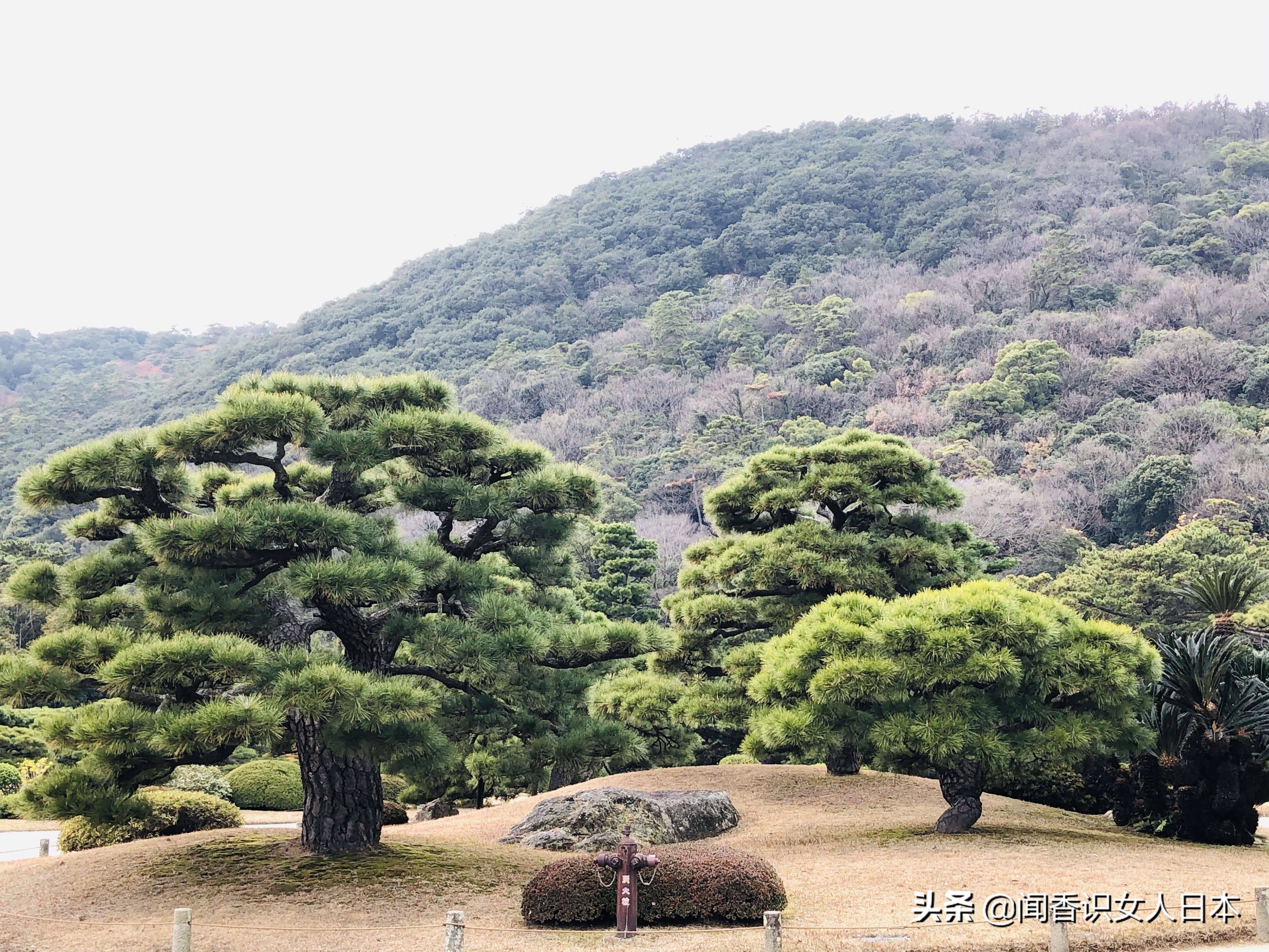 日本的米其林三星餐厅,日本米其林三星参观