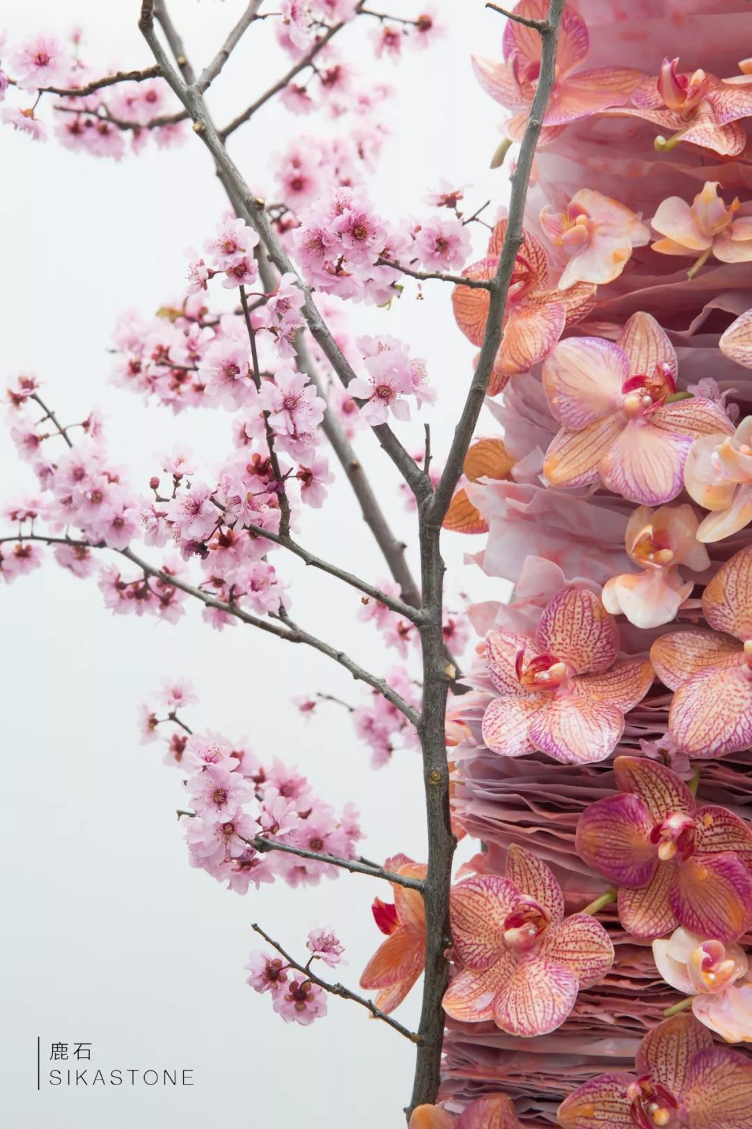 了不起的发明主题目标,了不起的发明主题环创