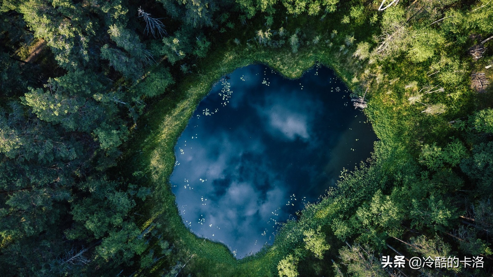 电脑高手必备软件有哪些推荐,电脑高手常备的几款实用软件