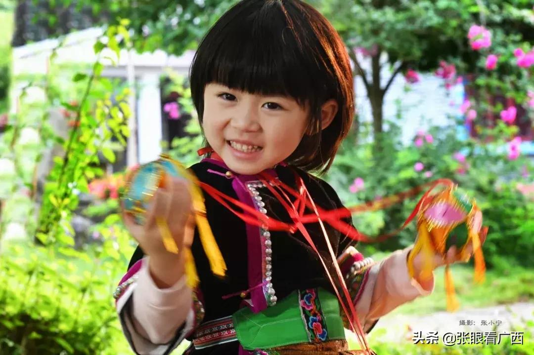 锦绣绣球花,壮乡绣球户外活动