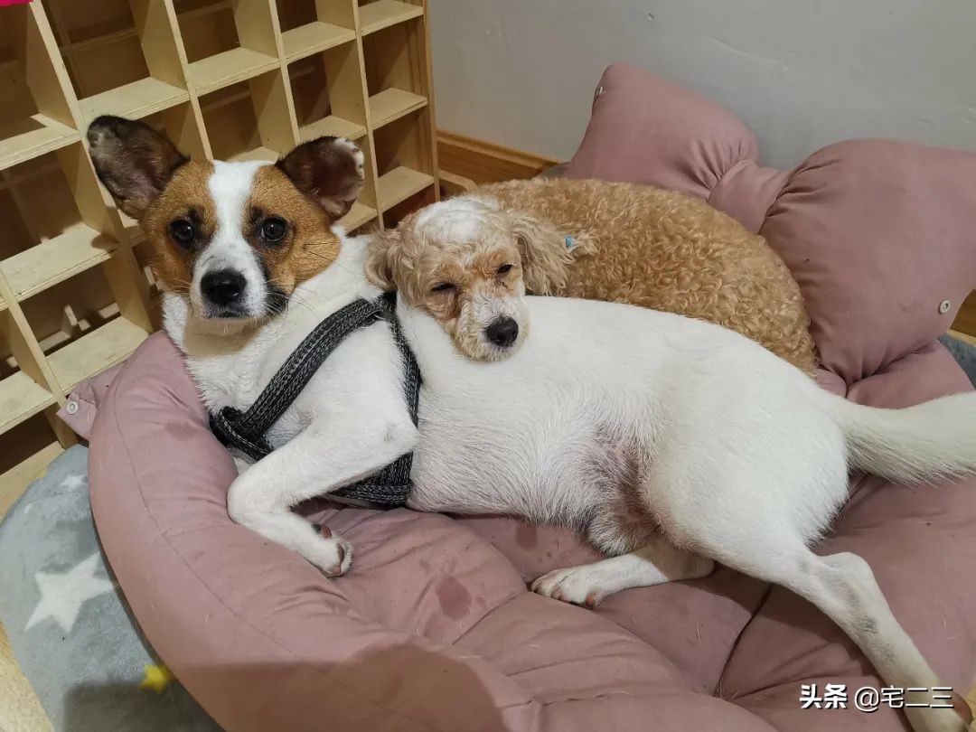 嗜好旧物的90后,用柔软的心构建家中岁月感