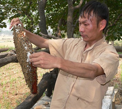 鉴别蜂蜜纯不纯的方法很实用哦,用白酒鉴别真假蜂蜜的方法视频