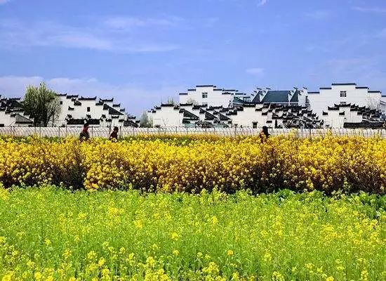 住市中心还是近郊好,住在郊区和市区的对比