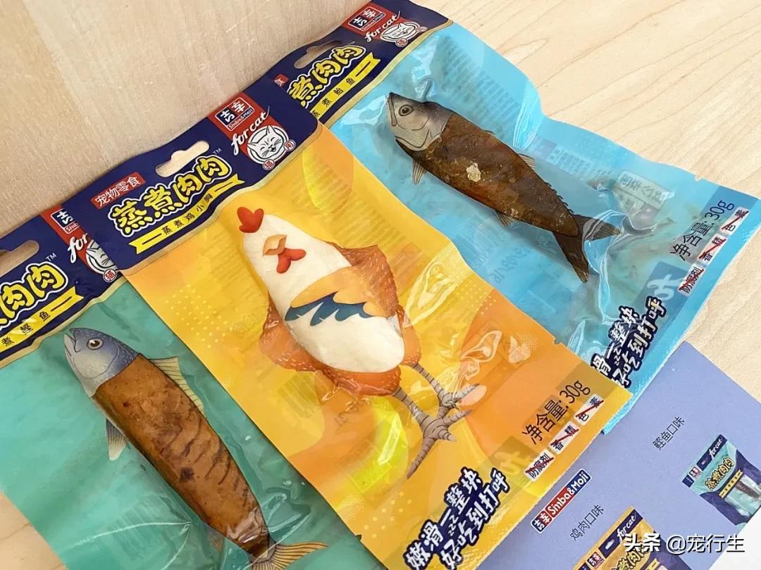 这家宠物快闪集市，怎么拍都好看，学会用宠物视角看世界