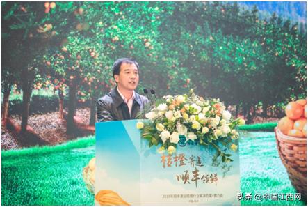 顺丰赣南脐橙物流发布会,江西赣橙顺丰快递