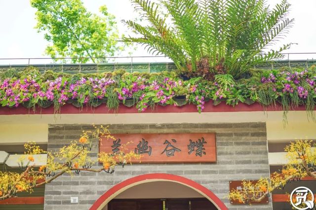 深圳史上最大最美的花展来啦,走进深圳仙湖植物园的国际花展