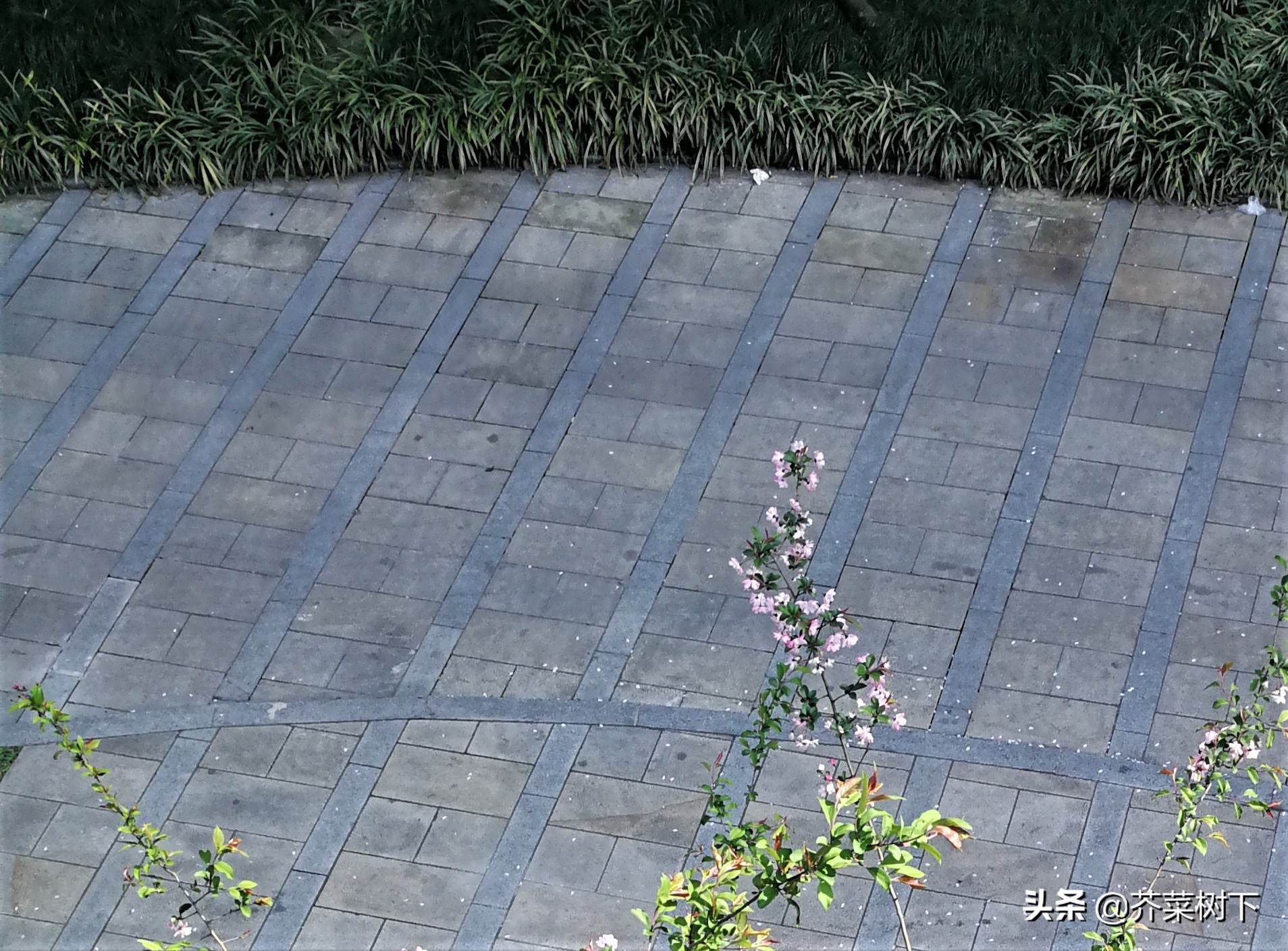 不要过度洁癖,过度洁癖反而抵抗力差吗