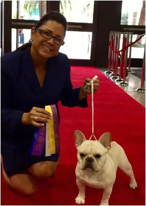 中国犬种繁殖状况,中国本土犬的繁殖现状