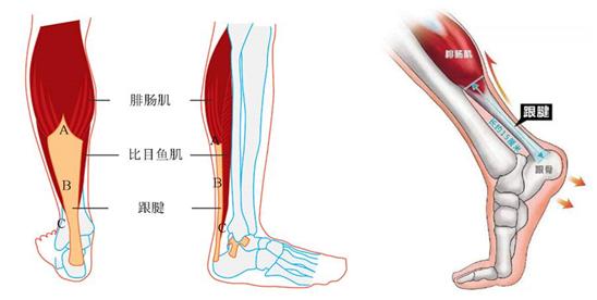易建联跟腱受伤好了吗,易建联跟腱受伤完整版