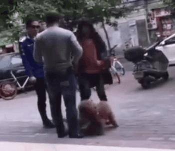 养狗的正确方法和建议,关于养狗的基本知识和方法