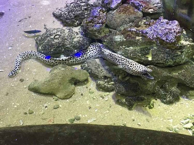 给自己一个度假的理由海南三亚,三亚度假的天堂