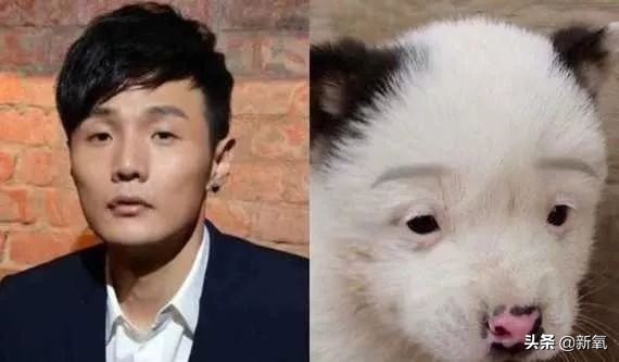 如何成为撩人高手,怎么才能眉目含情