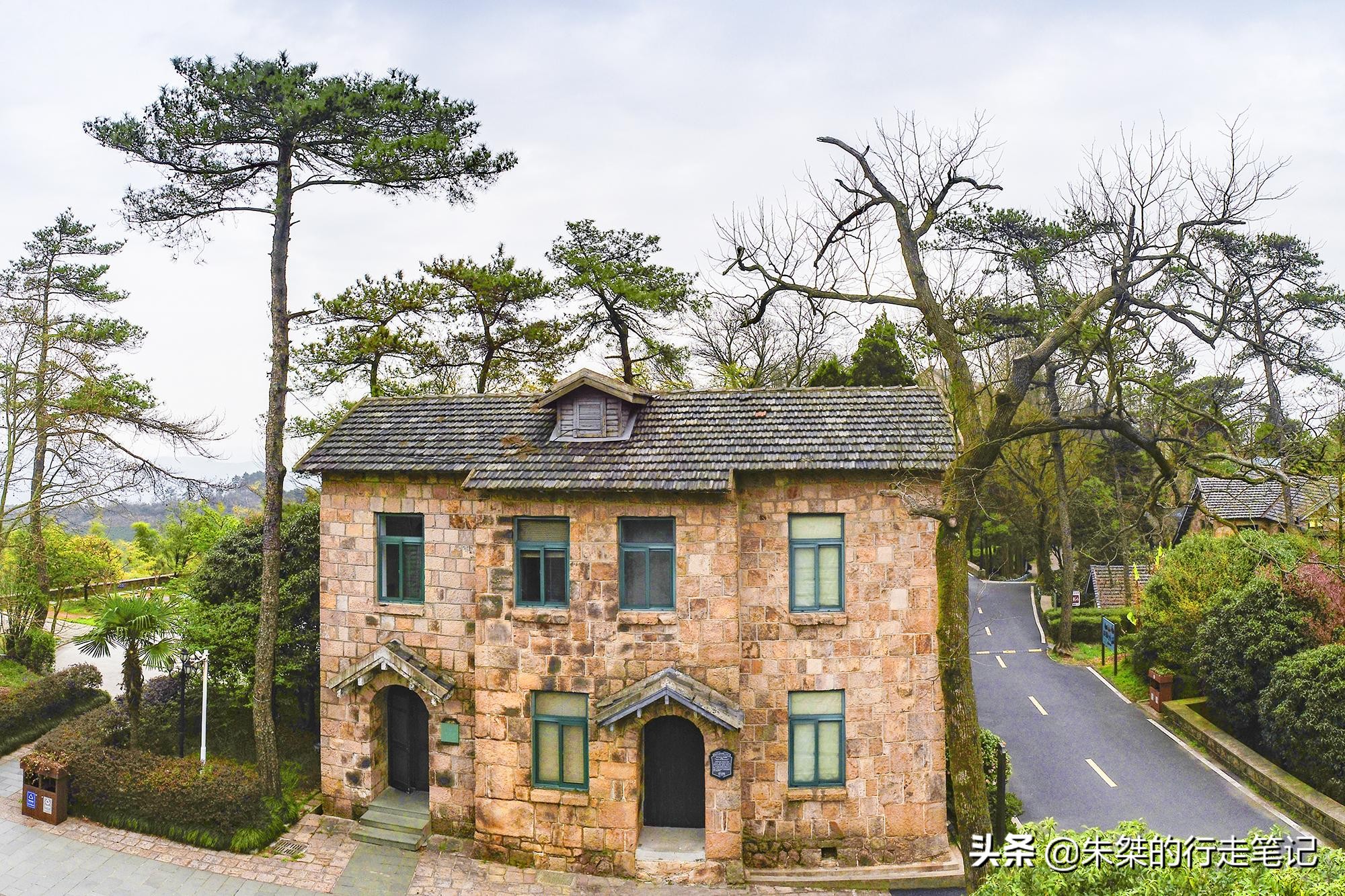 春日莫干山,莫干山春日茶会图片