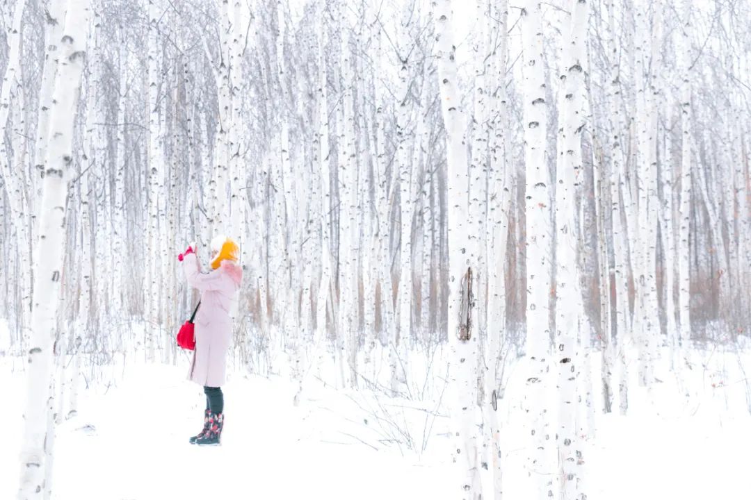 这才是国内最美的地方,这才是中国34省最该去的地方