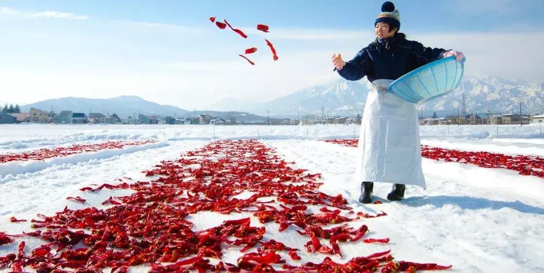 日本人喜欢辣椒吗 (日本人对辣椒的热爱)