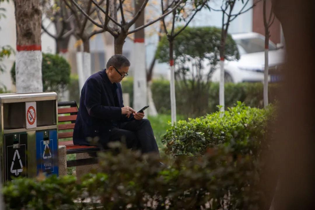 西安莲湖公园晨跑,西安莲湖公园散步