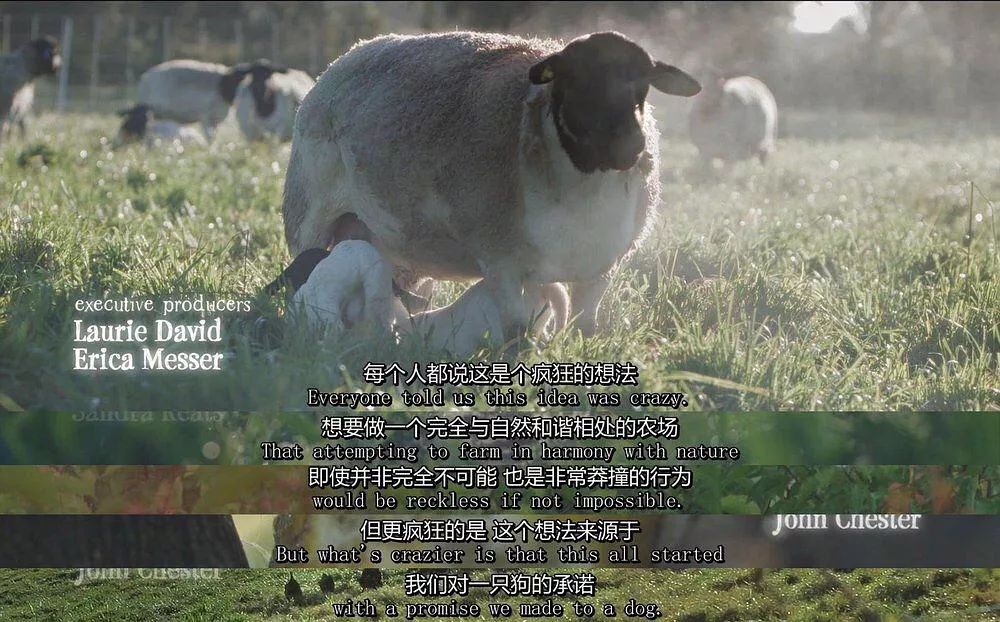 豆瓣9.3分这对夫妻打造1200亩生态农场，“堪称美版「李子柒」”