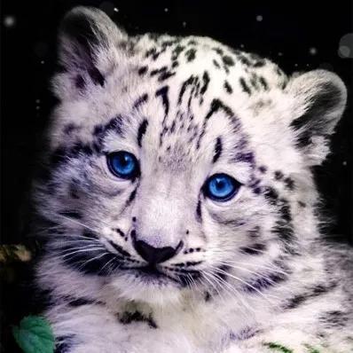 明星同款爱心气质高级轻奢耳饰,明星同款耳饰最好看的