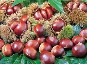 各种常吃水果名和图片,喜欢吃水果了解水果种类