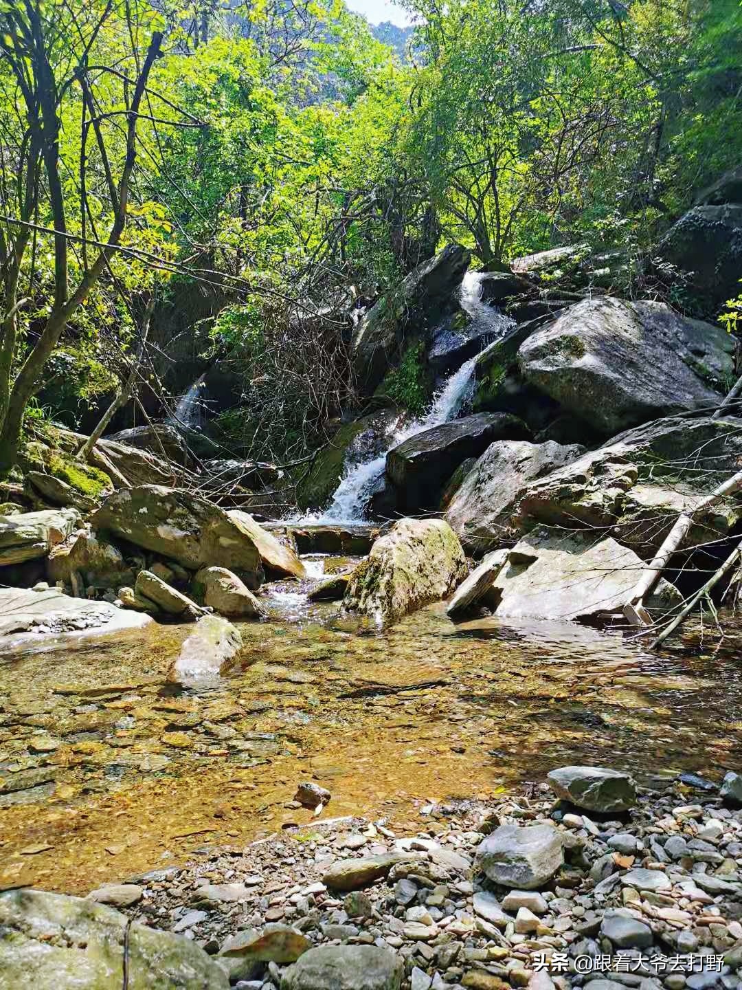 九宫山溯溪怎么去,九宫山附近免费溯溪