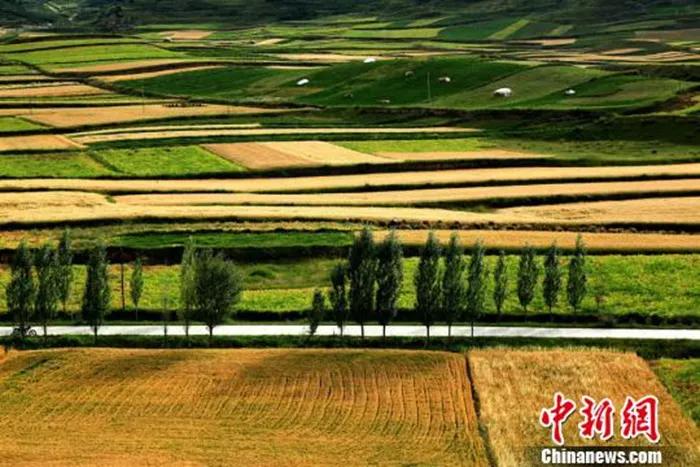 今日白露秋意渐浓,今日白露美句美文