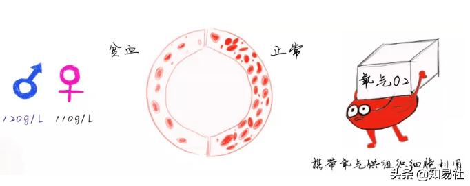 医学知识科普缺铁,医学科普能解决什么问题