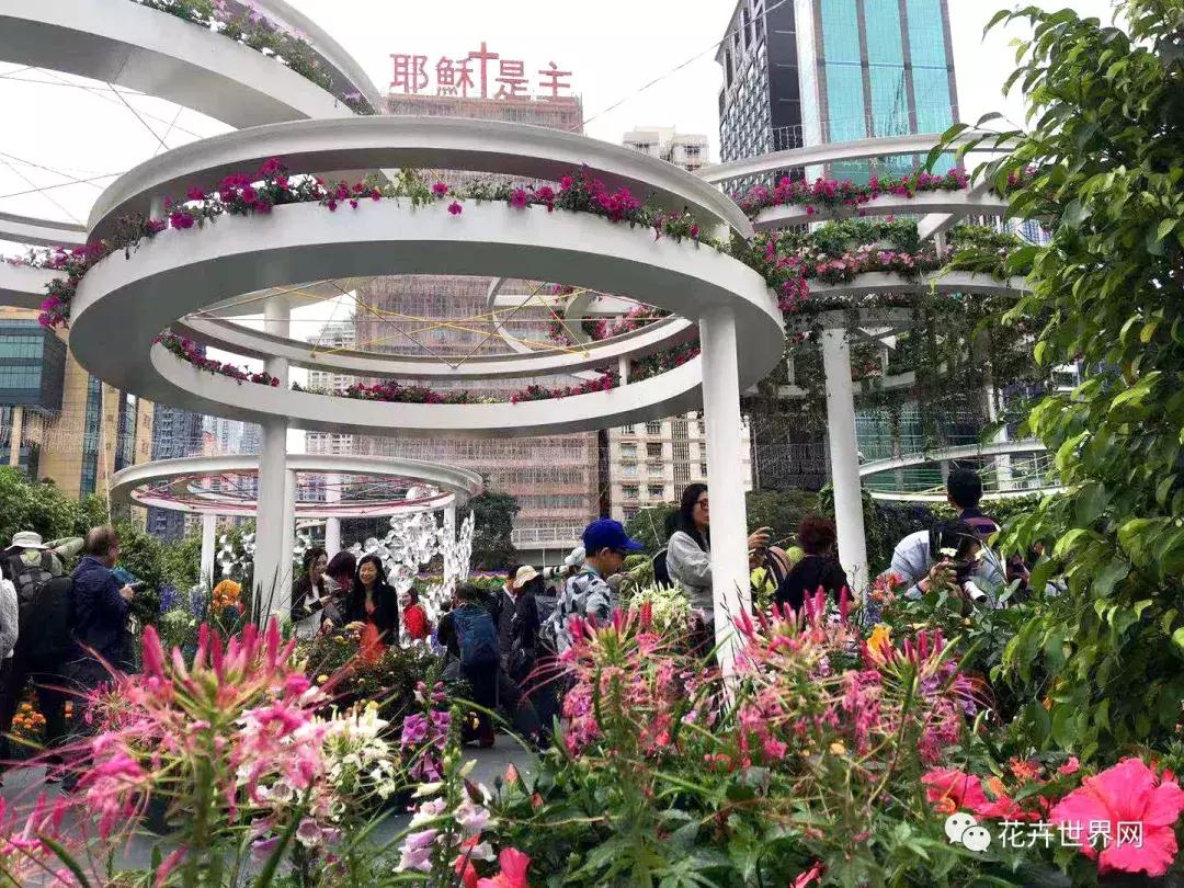 香港花卉艺术展,共赴盛会活动