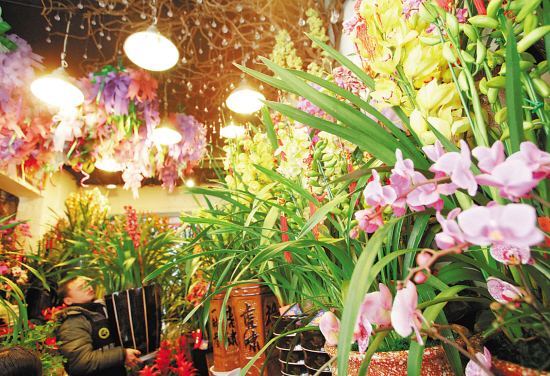 漫游广州,体验广州当地人的悠闲生活