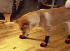 宝宝冬季帽子哪种舒服,宝宝帽子秋冬袜子