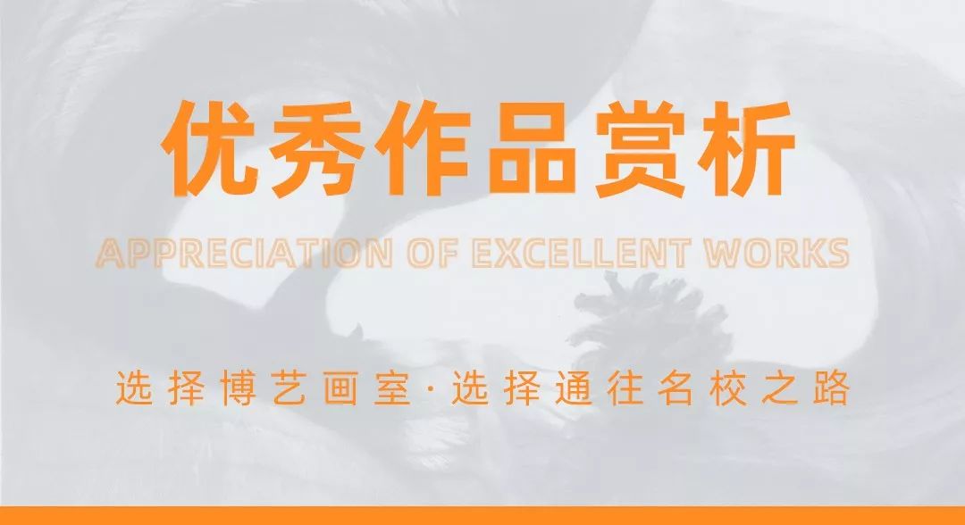 北京博艺画室好吗,北京博艺画室精品校区24届校考