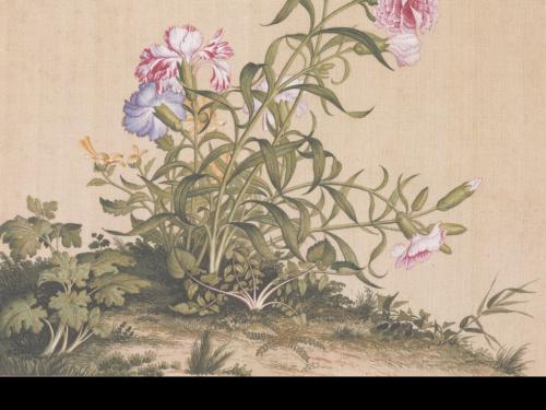 苏先生读诗｜古诗《春夏秋冬田园山水农村西湖植物景中情》