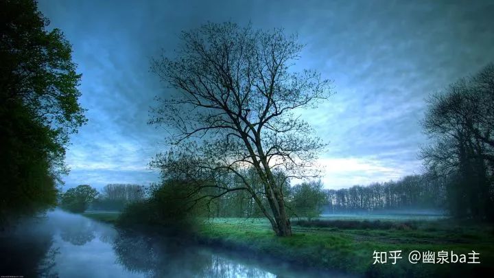 133%高色域和100%高色域,126%srgb色域什么水平