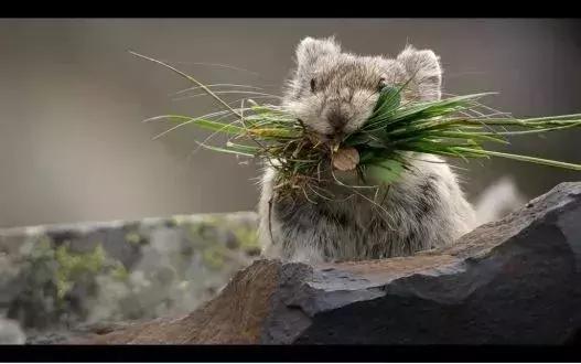 长春家长都领着孩子在干这件事儿，你没做，就落后了！