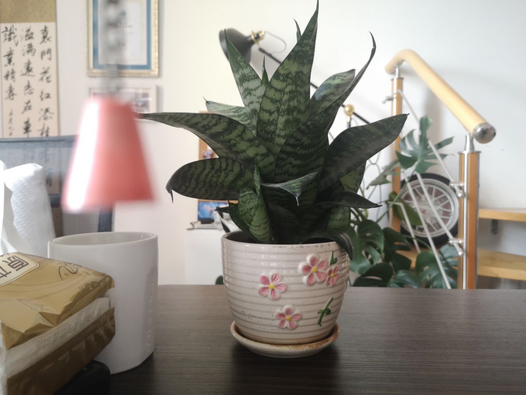 双十一感情吃瓜,双十一爱恨情仇