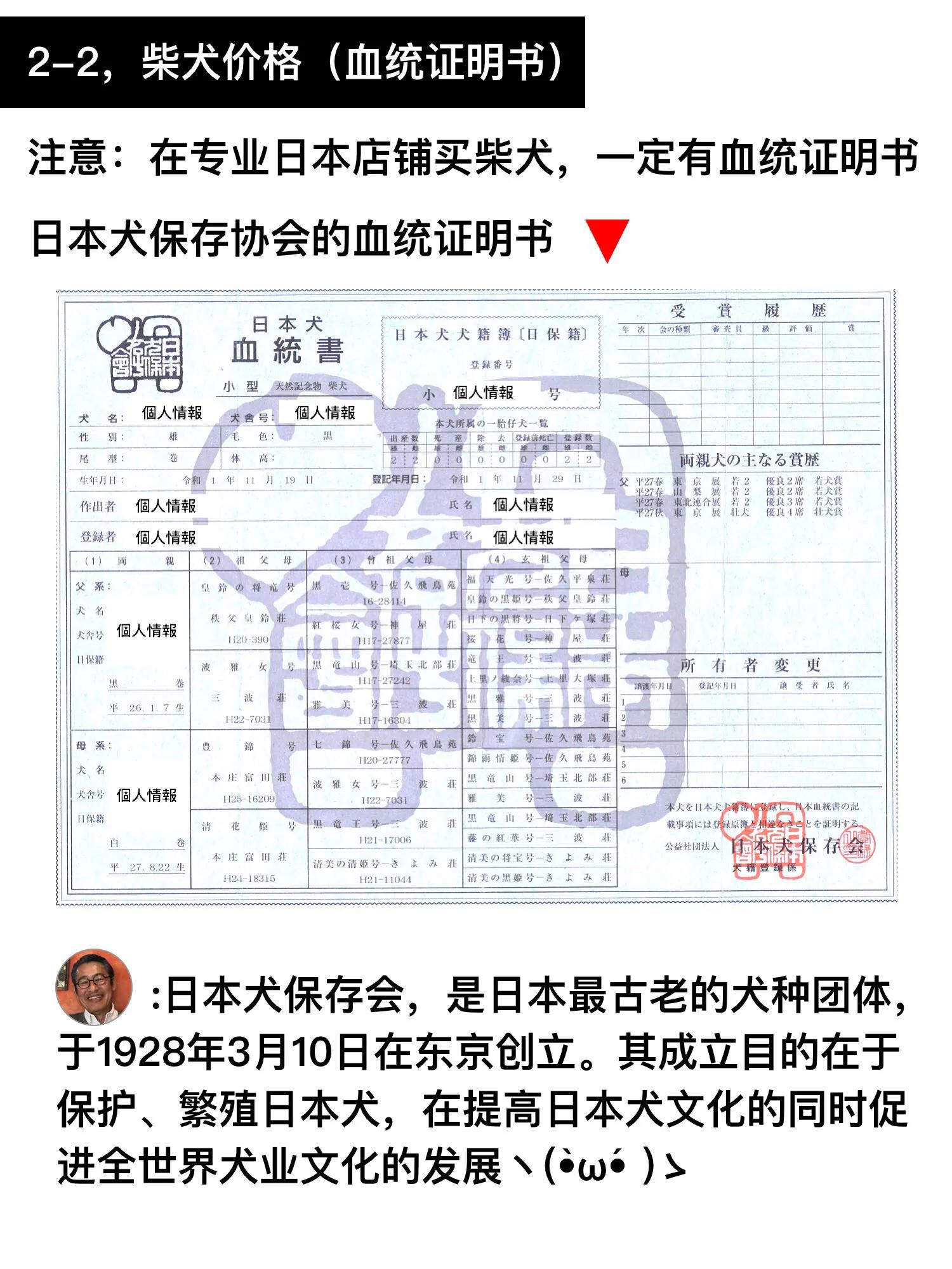 在日本买柴犬要60万？