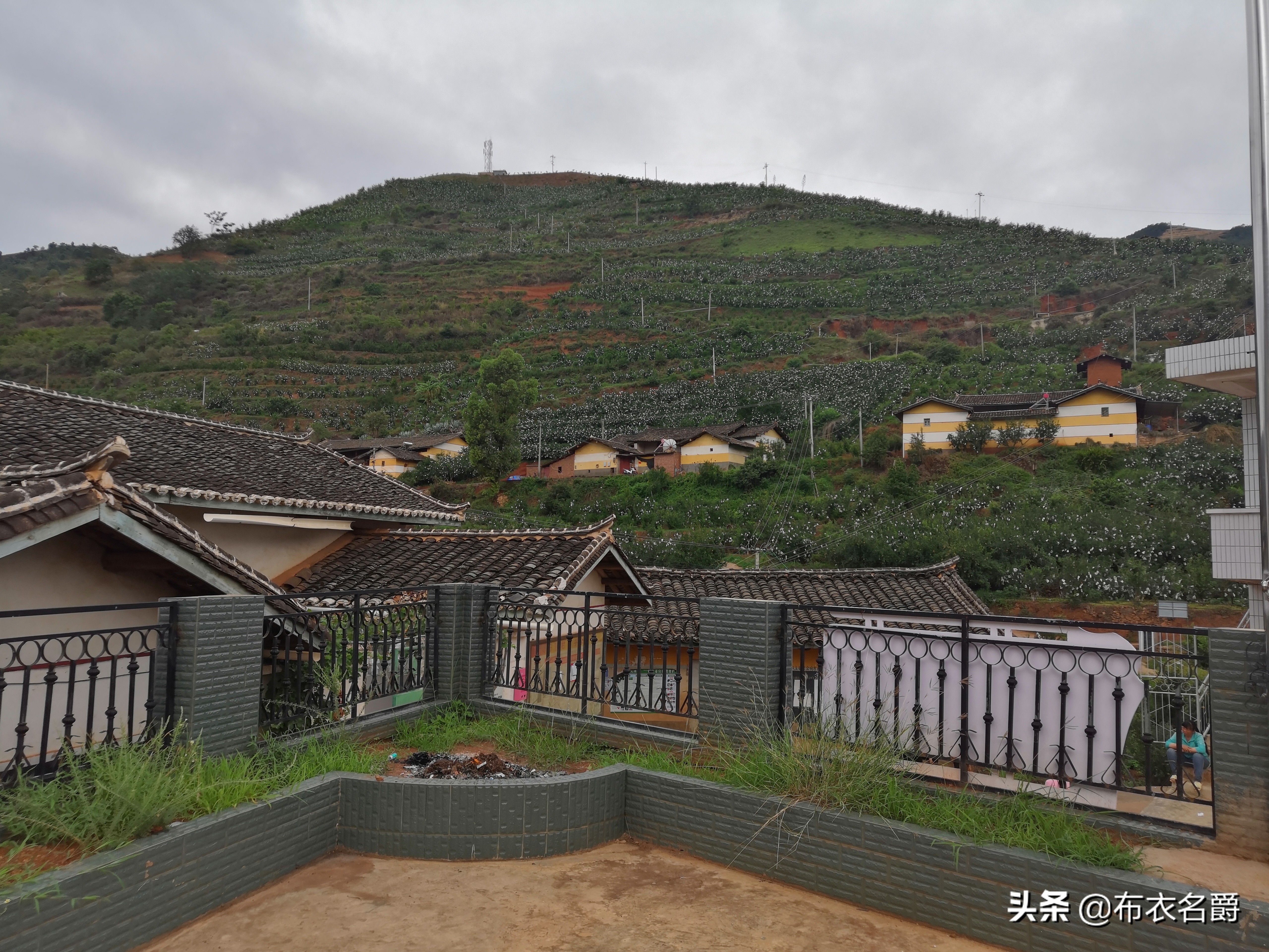 养羊技术与羊病预防推荐,养羊与羊病防控知识