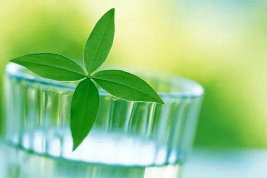 读林家铺子的感悟,林家铺子读后感