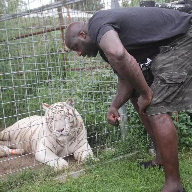 nba趣味比赛,nba球星的奇葩爱好