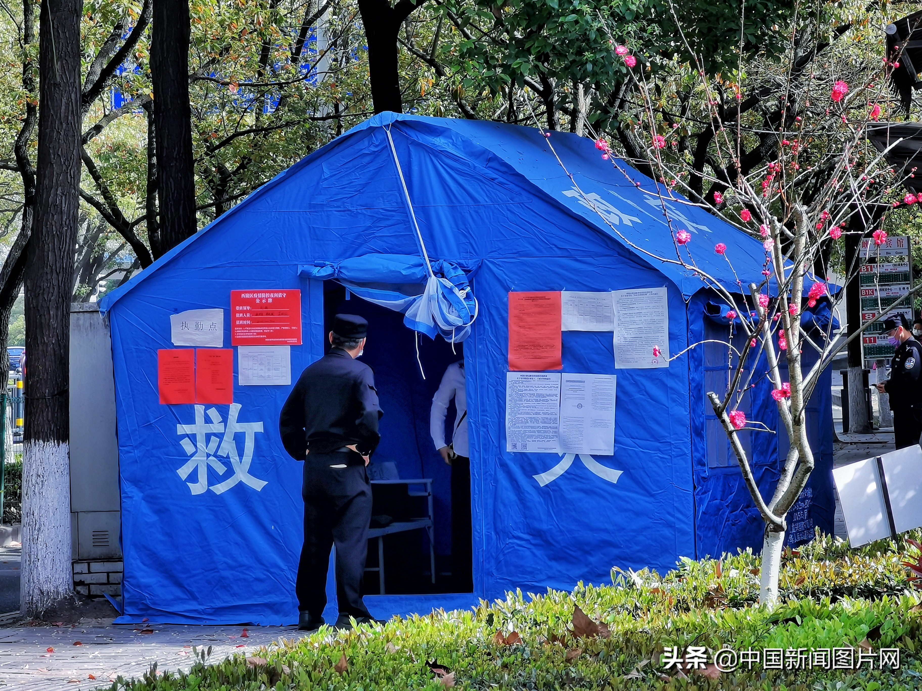 战疫一线志愿者的感人事迹,志愿者抗疫期间的个人感悟