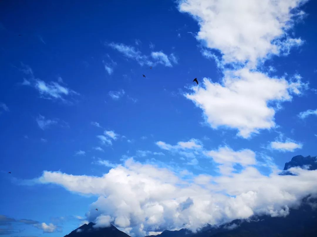 昨日重现2019完整版,昨日重现新加坡