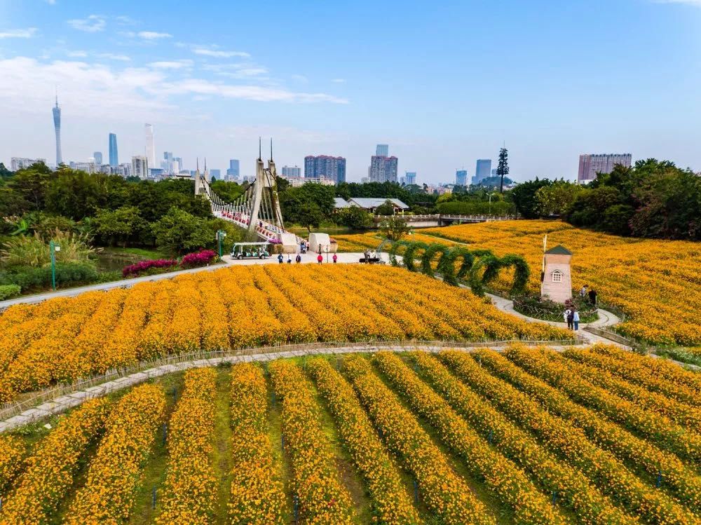 必打卡的宝藏公园,这些宝藏打卡地分分钟让人美到