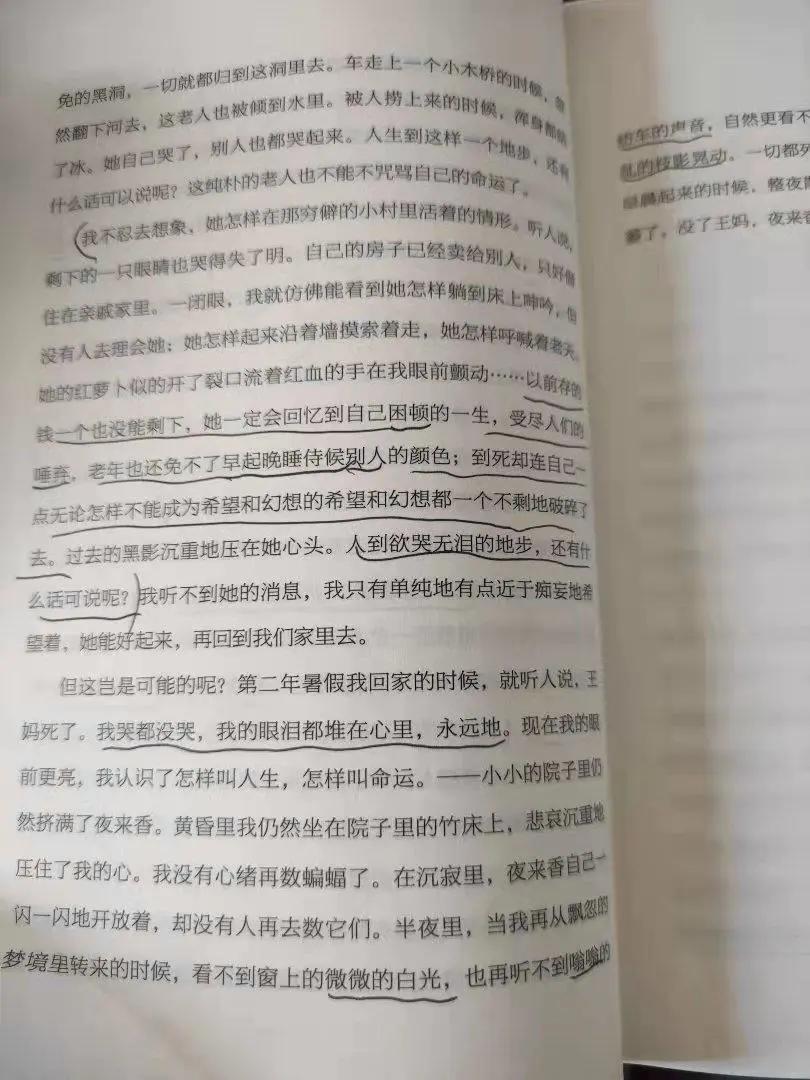 NO.2季羡林——《我爱天下一切狗》