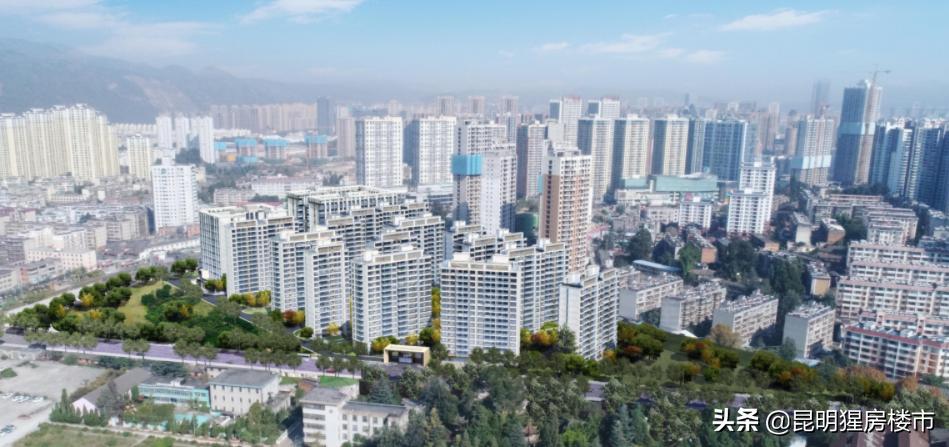 西市区哪个楼盘好,西片区哪里的房子值得买